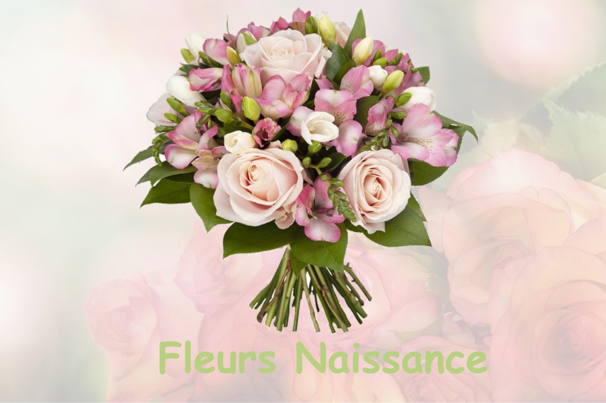 fleurs naissance RANCOURT-SUR-ORNAIN